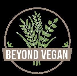 Beyond Vegan Eats