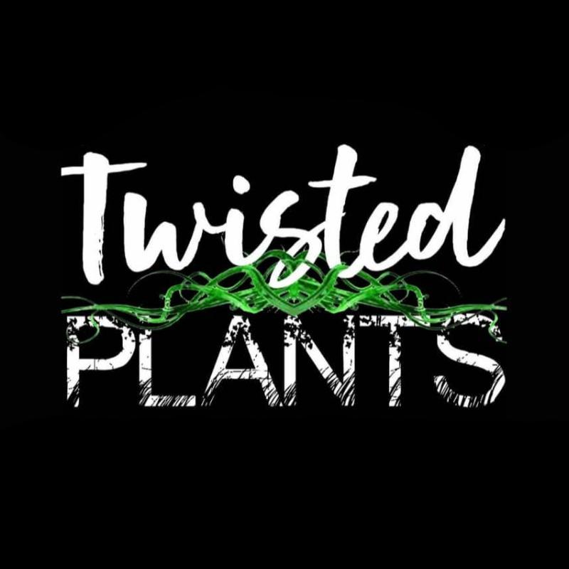 Twisted Plants